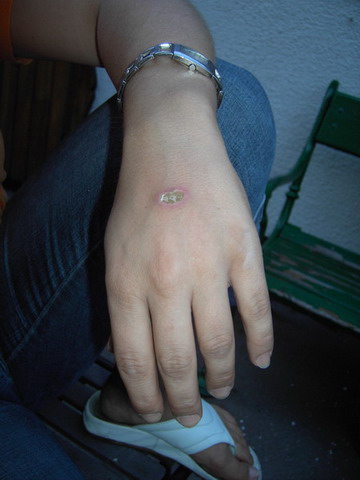 Schliessen von PICT2241.JPG