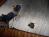 Bild#12(PICT2297.JPG)